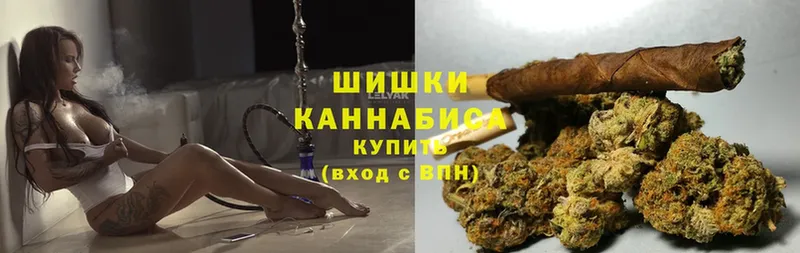 продажа наркотиков  Ардатов  Бошки марихуана Ganja 